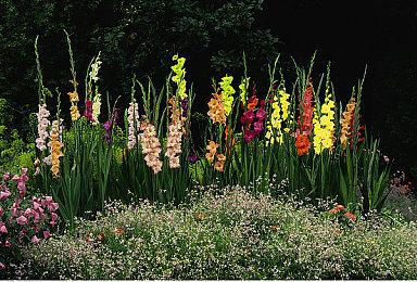 《漫威蜘蛛侠2》全球销量已经突破1000万套